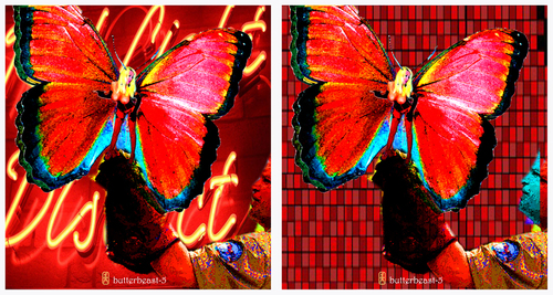 Cartoon: butterbeast 5 (medium) by edda von sinnen tagged walter,andi,zenf,zensenf,zenundsenf,rotlicht,butterbiest,butterbeast,butterfly,schmetterling,redlight,illustration,edda,von,sinnen