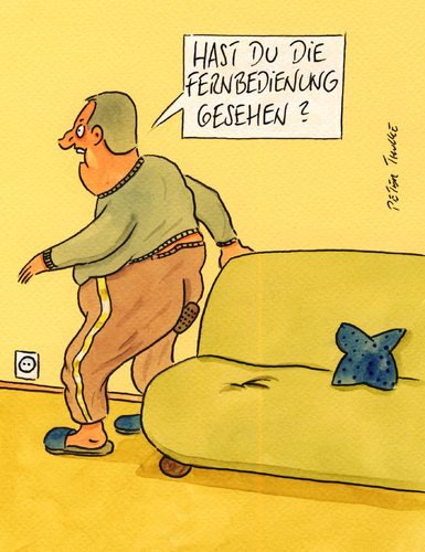 fernbedienung